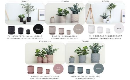 植木鉢 Φ14 crescere クレッシェル 選べるカラー セラミック フラワーポット プランター 鉢 受け皿 サボテン ミニ観葉植物 おしゃれ くすみカラー ガーデニング用品 ガーデニング 園芸 インテリア 兵庫 兵庫県 小野市 グレージュ