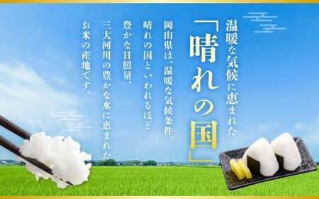 【令和7年産】ひとめぼれ 10kg（5kg×2袋） 米 コメ こめ お米 白米 精米 ごはん ご飯 岡山県 倉敷市