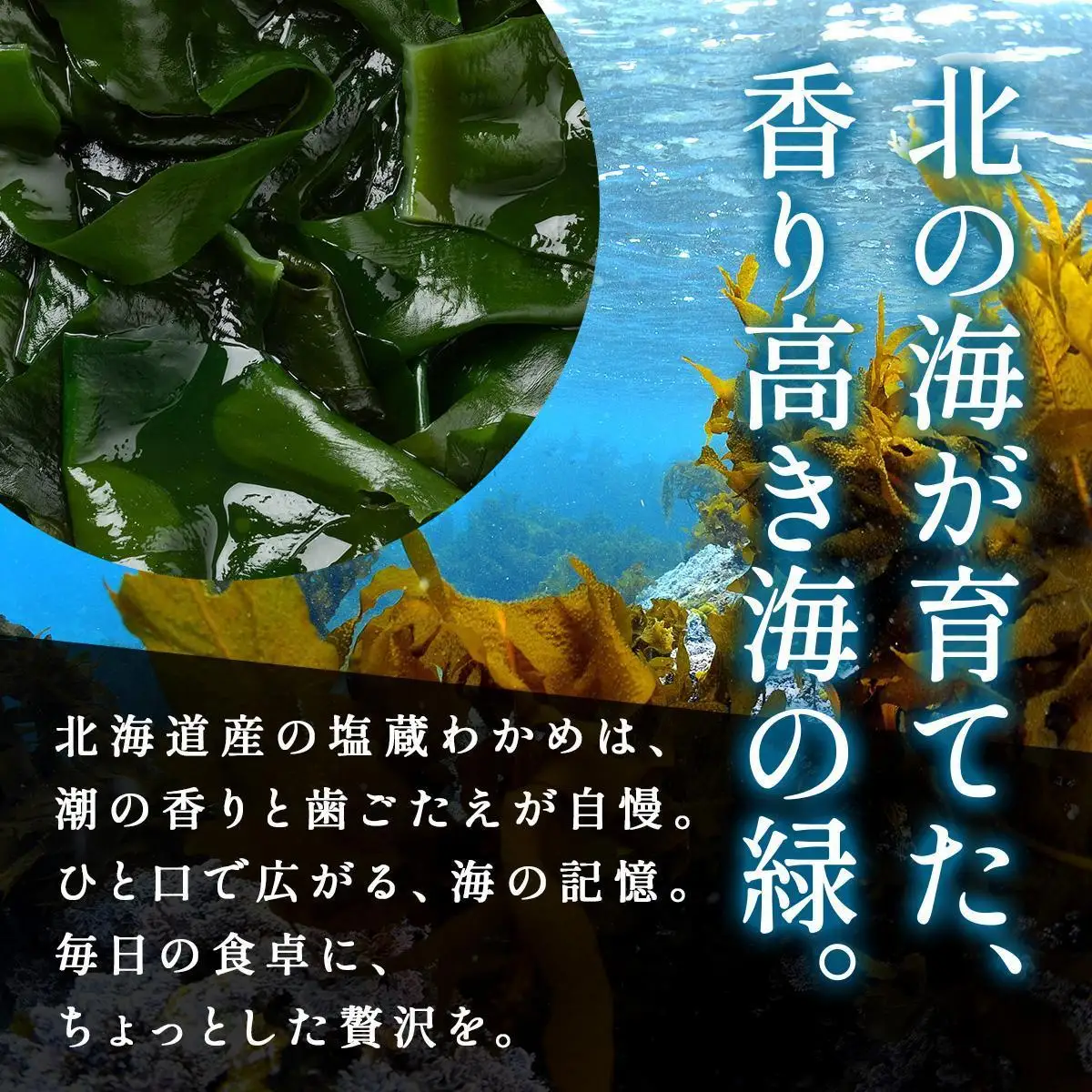 塩蔵ワカメ 5kg【ysk-006】わかめ ワカメ 海藻 海産物 おにぎり 味噌汁 うどん そば 小分け 国産 伊達産