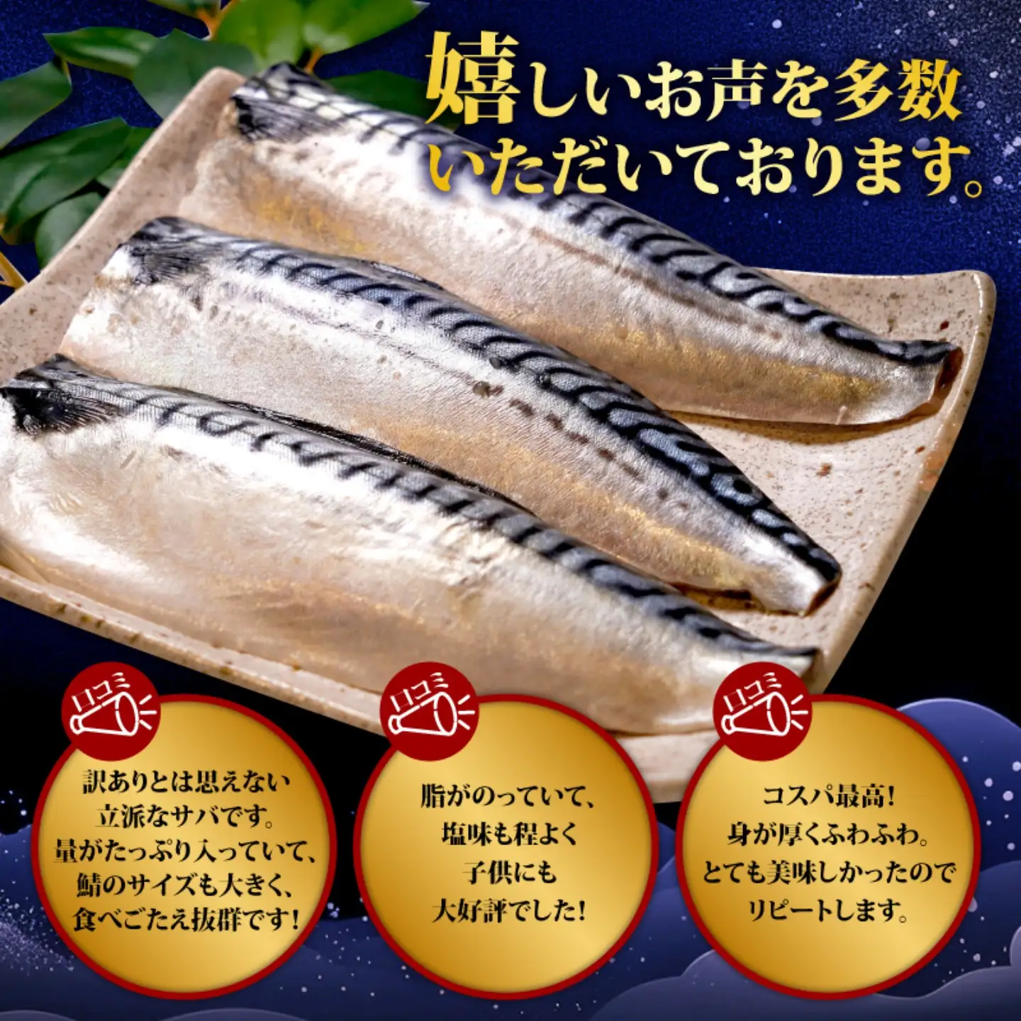 訳あり 塩鯖 2kg 鯖