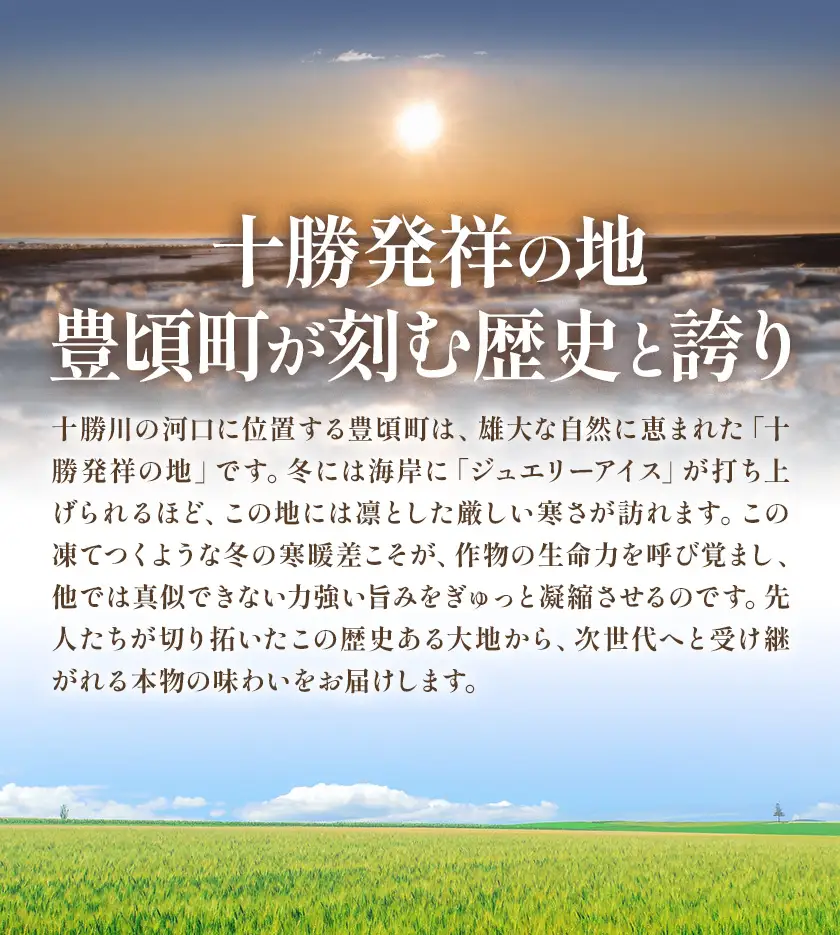 2026年 先行予約【訳あり】十勝豊頃産 ながいも 8kg 植村農場 《12月上旬頃から出荷》