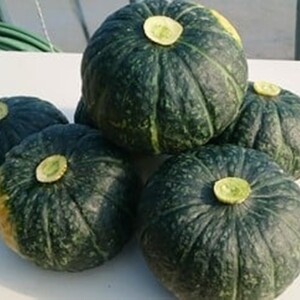 【先行予約】北海道 十勝 秋の味覚野菜詰め合わせ（南瓜・玉ねぎ・じゃがいも）セット【2026年秋出荷】