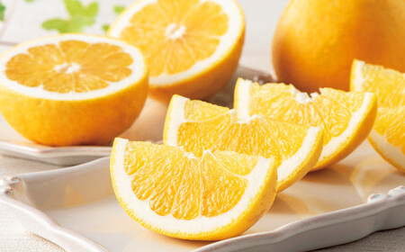 愛媛県産 河内晩柑 4kg（12～14個） 晩柑 果物 フルーツ 【2026年5月下旬～6月上旬発送予定】（873）