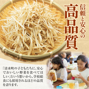 北海道十勝清水町産 秋堀りごぼう 10kg【2026年秋発送予定】牛蒡 ゴボウ