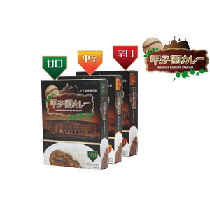 甲子園カレー＜甘口・中辛・辛口＞×2箱4食入　計6箱セット12食入 【カレー】