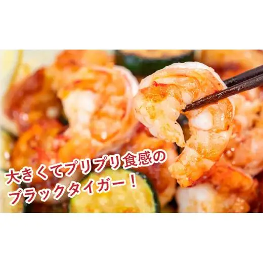 【 えび 】 ブラックタイガー 定期便 約1.2kg × 6回 えび