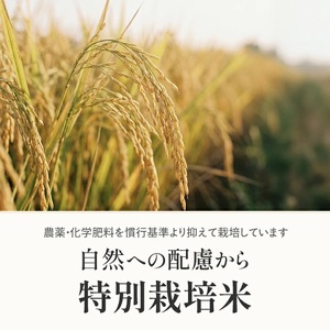 庄内産特別栽培米つや姫5kg（令和7年産米）6月下旬 [1467R07M06c]