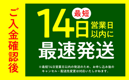 【令和7年度産】福岡県産米 夢つくし 20kg(5kgx4袋) 精米[ABCO027]