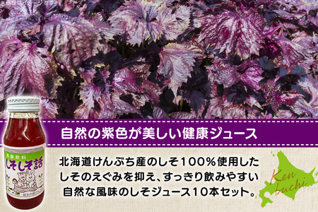しそジュース しそしそ話 180ml×10本 計1.8L [レークサイド桜岡 北海道 剣淵町 14656352] 
