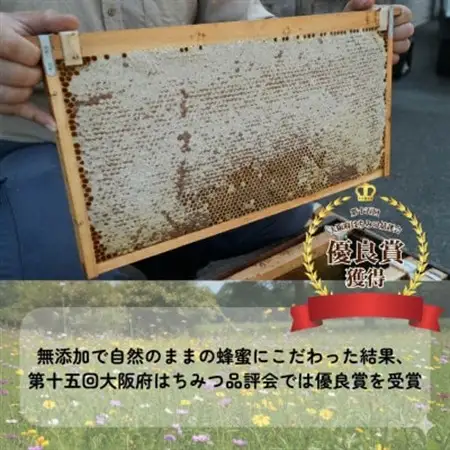 大阪府和泉市　国産天然はちみつ(180g×3)　日蜂協会員　無添加　自家採蜜　大植養蜂園【1680106】
