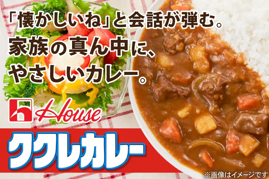 ハウス ククレカレー 辛口 180g 10個 [翔栄通商 愛知県 江南市 ko23btu570073]