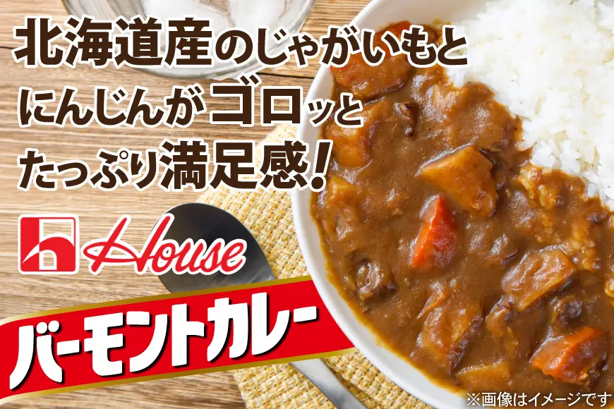 バーモントカレー 甘口 10個 [翔栄通商 愛知県 江南市 ko23btu570083]