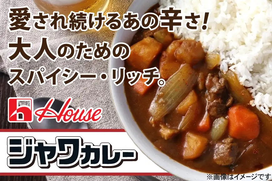 ハウス レトルトジャワカレー 辛口 200g 10個 [翔栄通商 愛知県 江南市 ko23btu570091]
