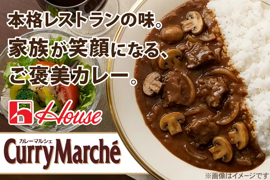 カレーマルシェ 辛口 180g 30個 [翔栄通商 愛知県 江南市 ko23btu570101]