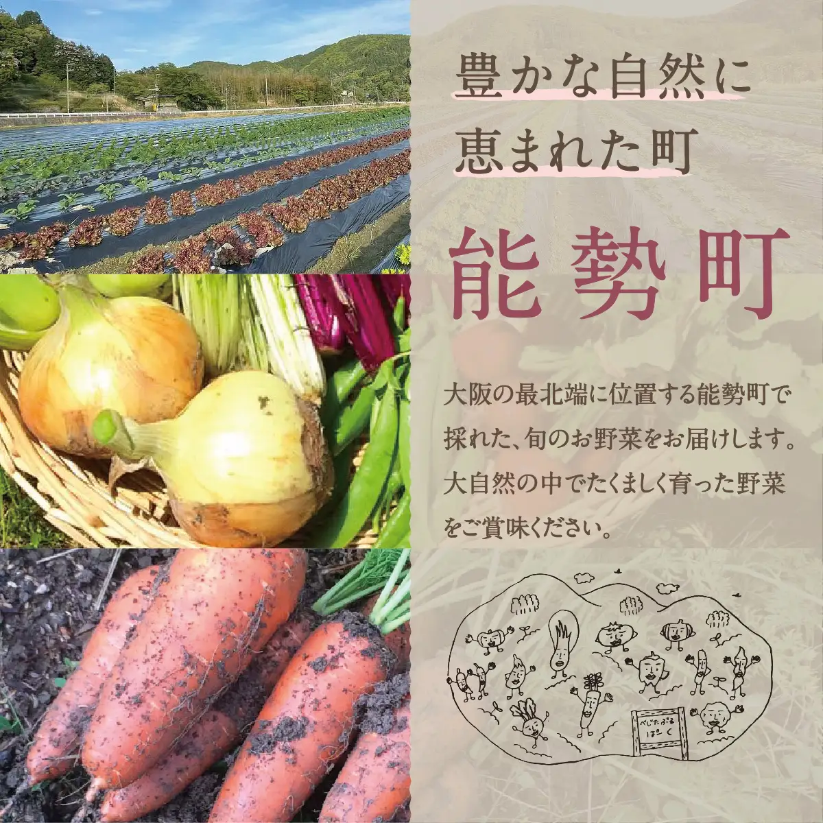 【大阪能勢産】 《農家直送》 べじたぶるぱーくの旬の新鮮野菜詰合せ Lセット (10種類) | べじたぶるぱーく野菜詰め合わせ 野菜 農薬・化学肥料不使用 新鮮 産地直送 季節 旬 | 大阪府 能勢町 送料無料