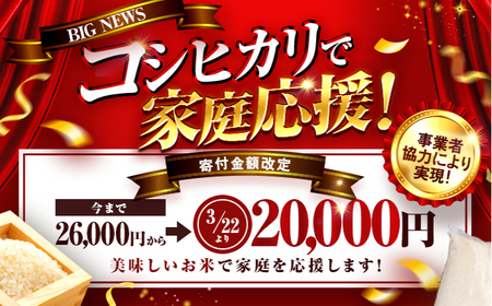 コシヒカリ 精米 10kg 小浜市産 こしひかり [BFEK001]