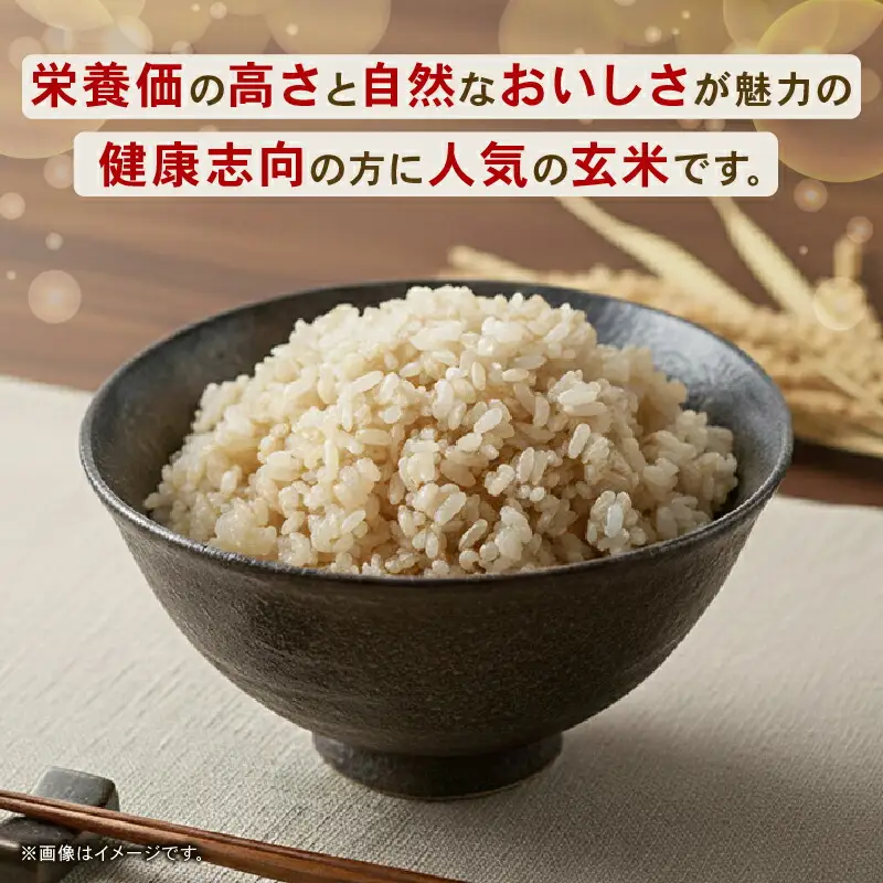 【先行予約】玄米 10㎏ コシヒカリ 令和8年度 玄米 6回定期便