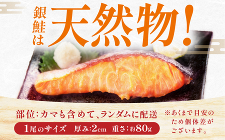 銀鮭　切り身　3kg　広川町 / 株式会社イールファクトリー[AFBS027]