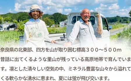 【定期便6回】ひとめぼれ 低農薬栽培＜令和7年産 白米 17kg ＞ / ふるさと納税 低農薬 米 お米 こめ コメ 国産 新米 玄米 一等米 農家やまおか 奈良県 宇陀市