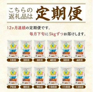 SR0005　【12回定期便】［精米］はえぬき　5kg×12回(計60kg) TO
