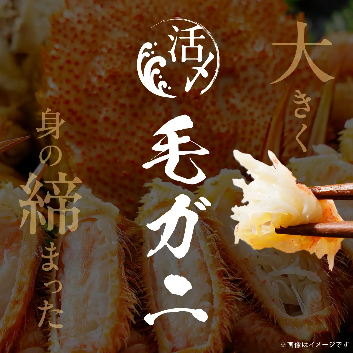オホーツク産活〆毛ガニ 2尾（600g×2） ABAO2206