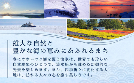 【返礼品なし】北海道網走市・応援寄附5,000円（寄附のみの応援受付 ※返礼品はございません） ABBT002