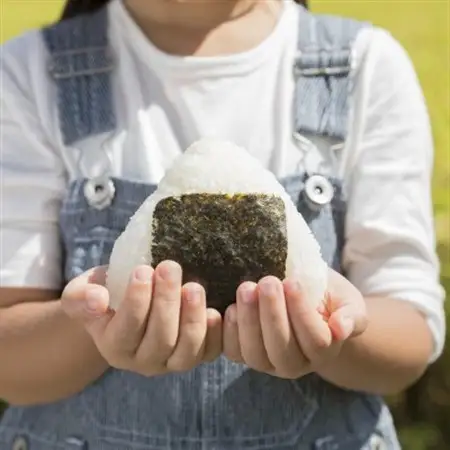 【毎月定期便】宮城県産 ひとめぼれ 精米 5kg全2回【配送不可地域：離島・沖縄県】【4078115】