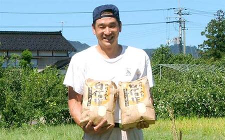 令和7年産ミルキープリンセス（無洗米）5kg F2Y-4407