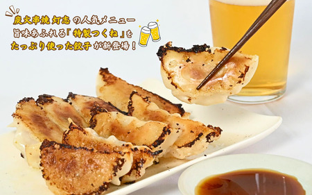 焼鳥屋さんの鶏つくね餃子　10個入り　2パック　［A-084001］ 