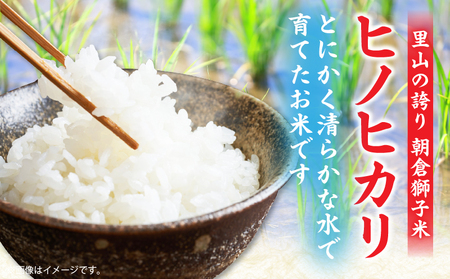 ＜数量限定＞【令和7年度産】里山の誇り 朝倉獅子米 ヒノヒカリ 5kg | 新米 ヒノヒカリ ひのひかり 5kg 米 白米 ごはん ご飯 白ご飯 おにぎり お弁当 おむすび お米 国産 美味しい ツヤ モチモチ 精米 おすすめ 香川県 三木町 |_mk172-002