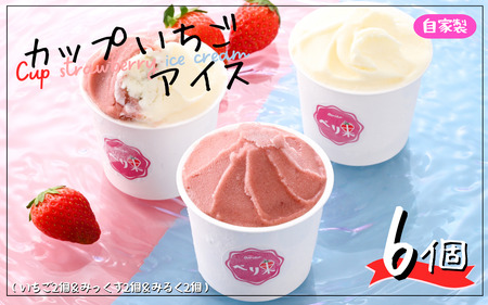 自家製カップアイス3種＋どら焼きアイスセット[B-045002 ] 