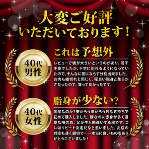 美味北総豚 挽き肉 計10kg（500g×20） 精肉 スライス 小分け 冷凍 千葉県 [ask046]