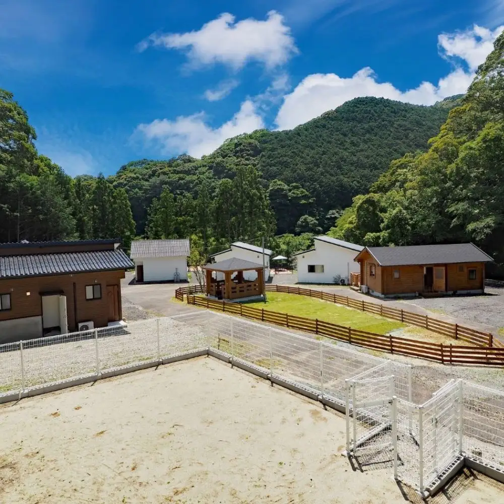 【愛犬と宿泊】 グランピング DOG PALACE camp village 宿泊利用券5000円分 /  旅行 宿泊 リラックス  和歌山 田辺市 熊野古道【dpc002】