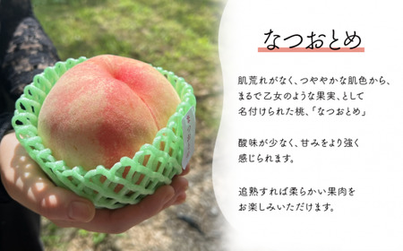 甘い桃「なつおとめ」上級品 5-7玉 (岡山県産) 【KF-A017-01】