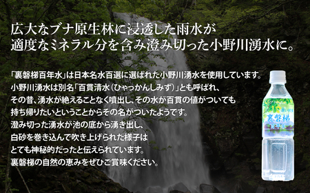【12ヵ月定期便】裏磐梯百年水 ナチュラルミネラルウォーター（500ml×24本×12回） KBJ039