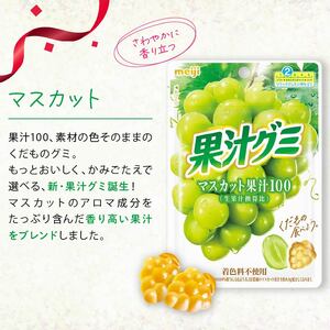 明治 果汁グミ マスカット 10個 グミ