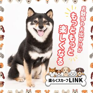 ワンタッチ着脱の楽らくスカーフ  迷彩柄 シルクウール 2枚 愛犬とお揃いセット 高級織物の残布を活用したエコな逸品 ／簡単 小さめ コンパクト ミニ スカーフ シルク カシミア 麻 ウール エコ 就労支援 ギフト 送料無料 ふるさと納税【n0664-11_mut】