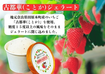 （冷凍）大人気！奈良田原本町の本格ジェラート6個セット ／ 古都華 いちご いちぢく シャーベット アイス スイーツ 道の駅レスティ唐古・鍵 奈良県 田原本町
