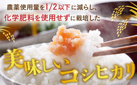 令和7年産 特別栽培米 コシヒカリ匠 16kg（2kg×8袋） 節減対象農薬当地比5割減【白米】お米 コシヒカリ [G-2909_01]