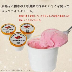 いちご農家のひんやりアイス カップアイス6カップ いちご 苺 イチゴ いちごアイスクリーム アイス アイスクリーム カップアイス 冷たい ひんやり セット 人気 おすすめ ふるさと納税 京都 八幡 八幡市 上杉農園