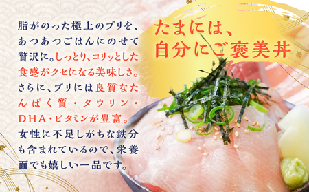 鹿児島産 ブリ丼 70g×5セット K100-013 魚 冷凍