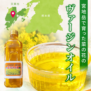 S094-003_天草市宮地岳産食用菜種油ナナシキブ1本