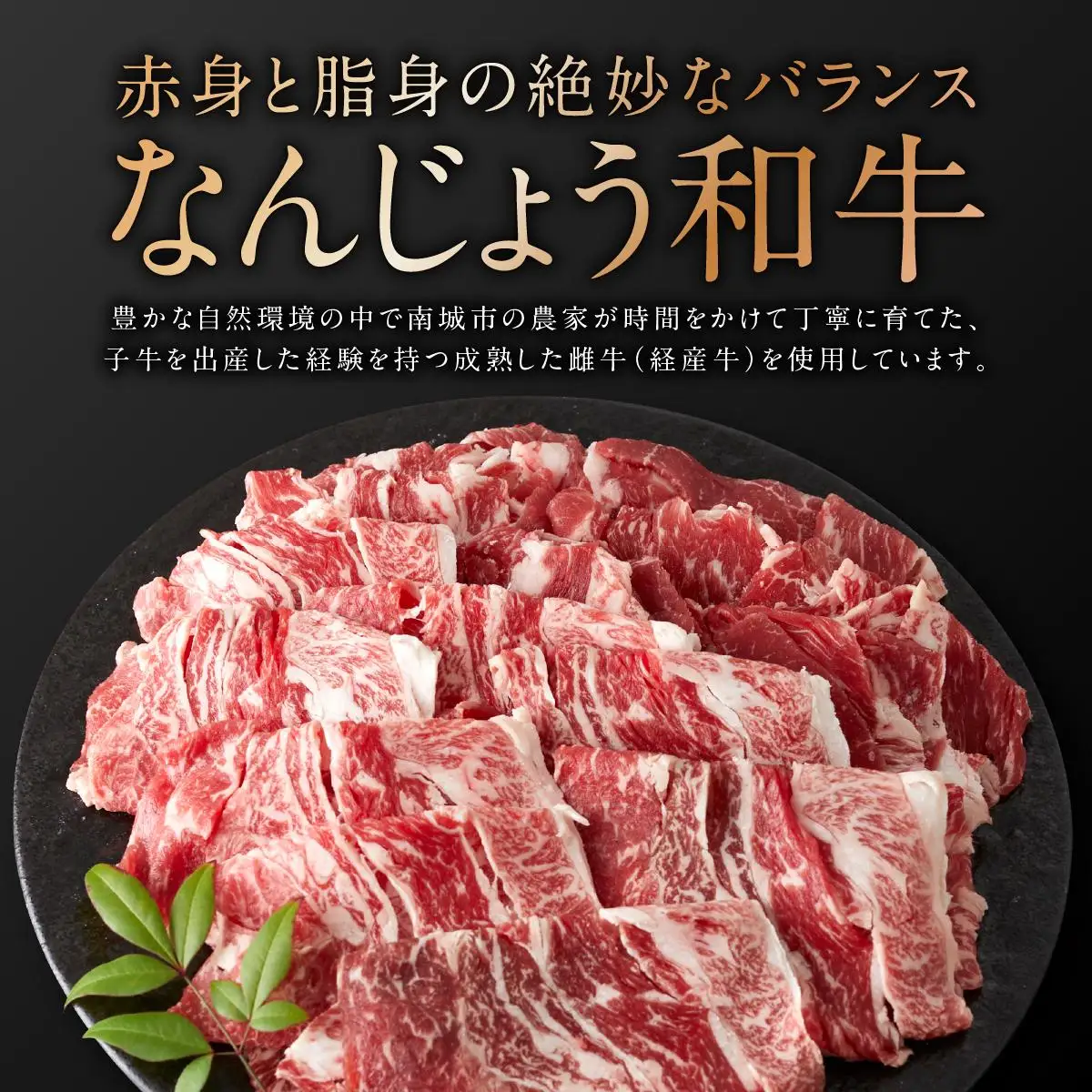 切り落としセット（なんじょう和牛・あぐー計1kg）   