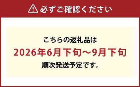 【訳アリ家庭用】岡山白桃 2キロ〈もっとも旬な品種の桃をお届け〉【2026年6月下旬～9月下旬まで順次発送予定】【桃 白桃 人気フルーツ 人気桃 おすすめフルーツ 岡山白桃 岡山フルーツ 岡山県 倉敷市】