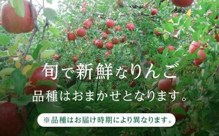 【先行予約 9月中旬～1月下旬発送】飛騨りんご 約5kg (16個～20個）| リンゴ 品種おまかせ 旬のりんごを飛騨からお届け おいしい 大容量 飛騨高山 山本果樹園 MA005