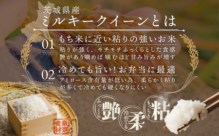 最短翌日出荷!! 茨城県産 ミルキークイーン 10kg ( 5kg ×2) 