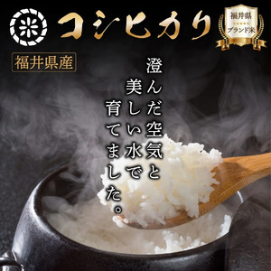 【定期便12回】コシヒカリ 2kg（1kg×2）令和7年産 [095-t12-a201]