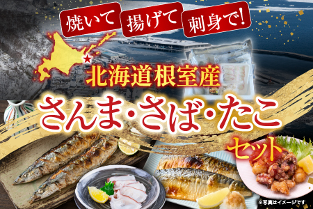 【北海道根室産】さんま・さば・唐揚げ用たこ・たこ刺身セット A-19014