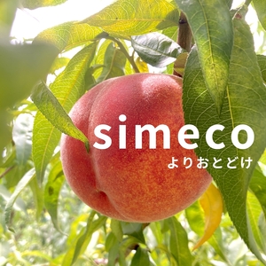 信州産完熟桃（あかつき）のピューレ 250gパウチ×3個と450ｇ瓶×1本　|　長野県　佐久市　国産　フルーツ　果物　ピーチ　無糖　無添加　もも　モモ
