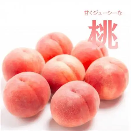 【発送月固定定期便】旬のフルーツ定期便 桃2kg・巨峰/シャイン全2回【配送不可地域：離島・沖縄県】【4076702】